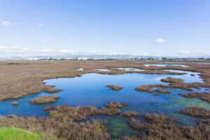 california wildlife refuge