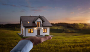 new house