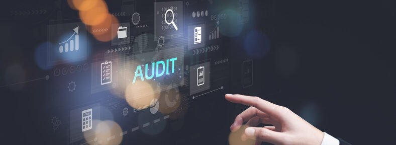 Audit committee roles involve more than just internal and external auditors.