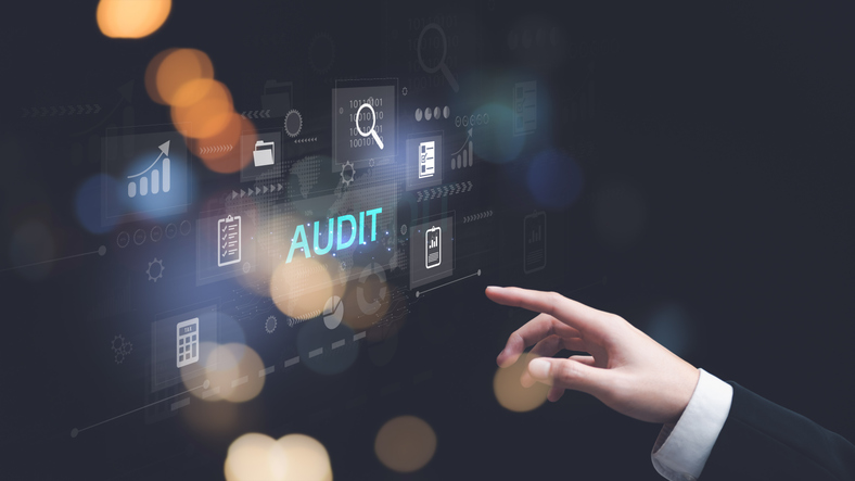 Audit committee roles involve more than just internal and external auditors.